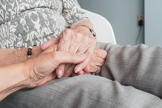 Elderly Companion Services: Enhancing Quality of Life for Seniors