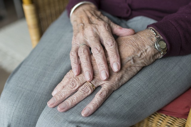 Elderly Companion Services: Supporting Dementia Care at Home