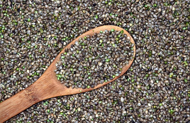 Save Money & Maximize Benefits: Hemp Seed Oil vs. Isolate – Which Reigns Supreme?