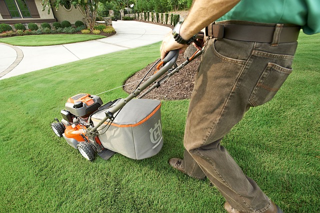 Lawn Care: Nurturing Your Outdoor Space’s Foundation for Stunning Landscaping