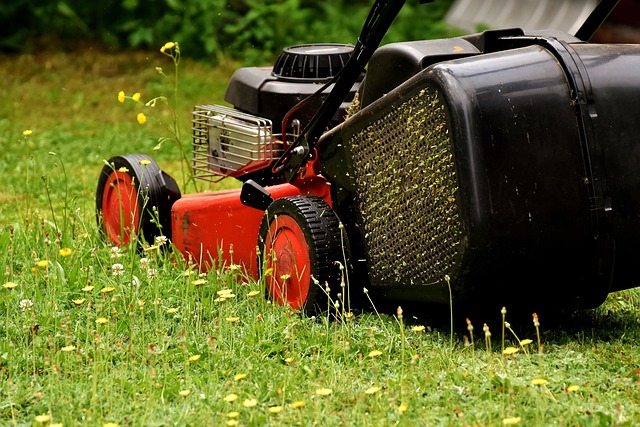 Seasonal Yard Cleanups: Enhance Lawn Health & Prevent Pests with Expert Landscaping