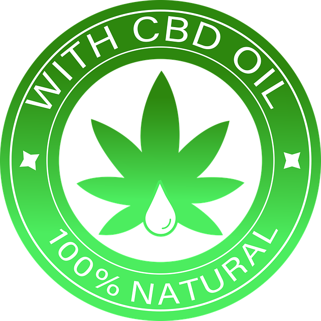 Experience Hemp’s Healing Power: Natural Relief, Sustainable Choice.