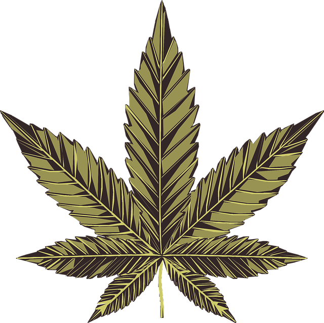 Hemp Flower, Hemp