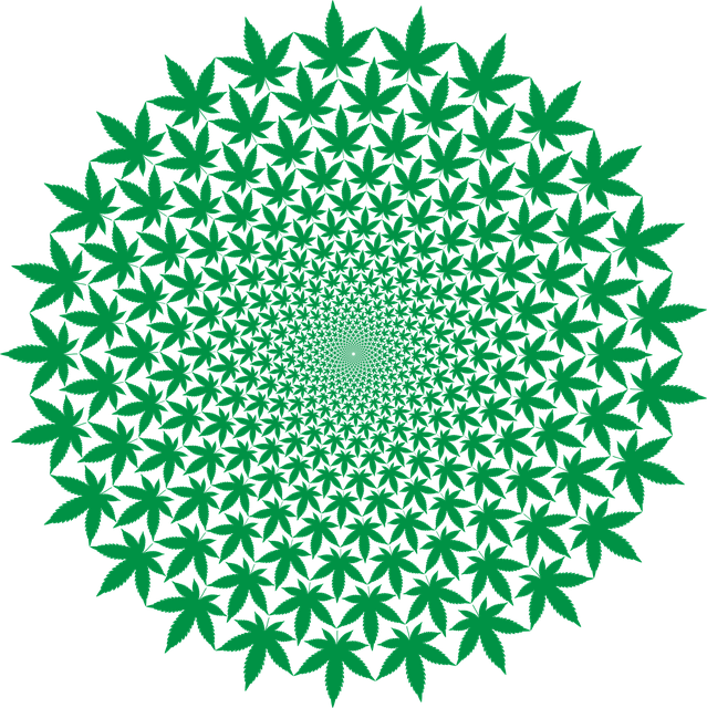 Hemp flower hemp 640x480 15165132.png