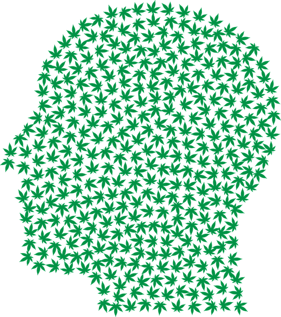 Hemp flower hemp 640x480 24621032.png