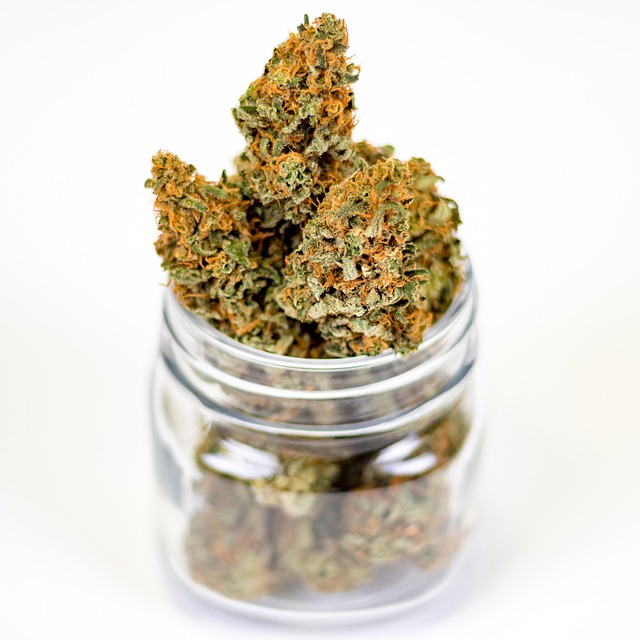 Hemp Flower, Hemp