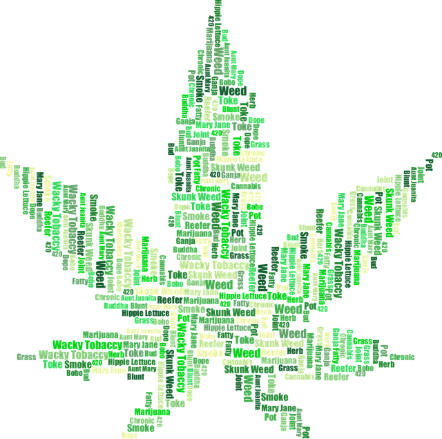 Unwind with Liquid Bliss: Top THC-Rich CBD Tinctures, Free Shipping!