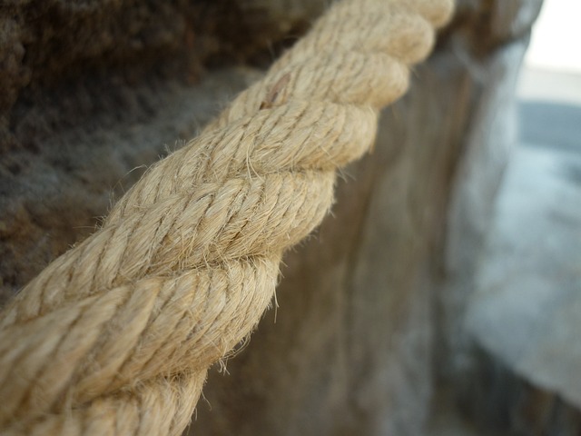 Hemp flower hemp 640x480 61289878.jpeg