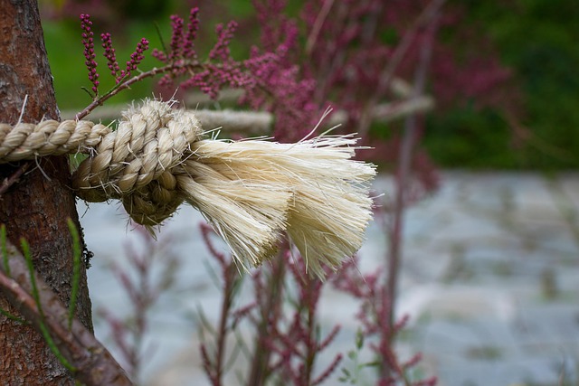 Hemp Flower, Hemp