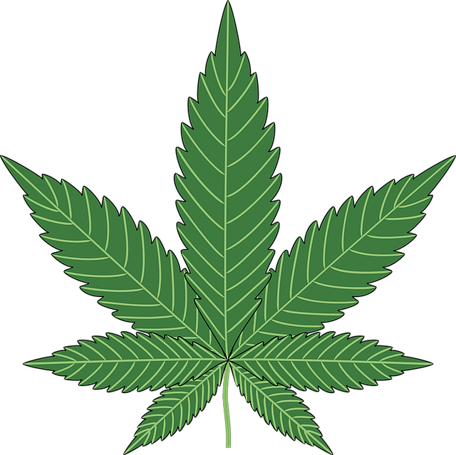Hemp flower hemp 640x480 64465445.png