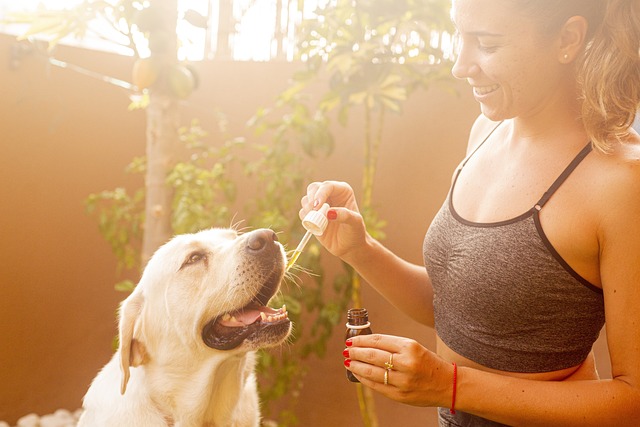 Unlock Pet Relief: Save Big with Top-Rated THCA Rosin Carts