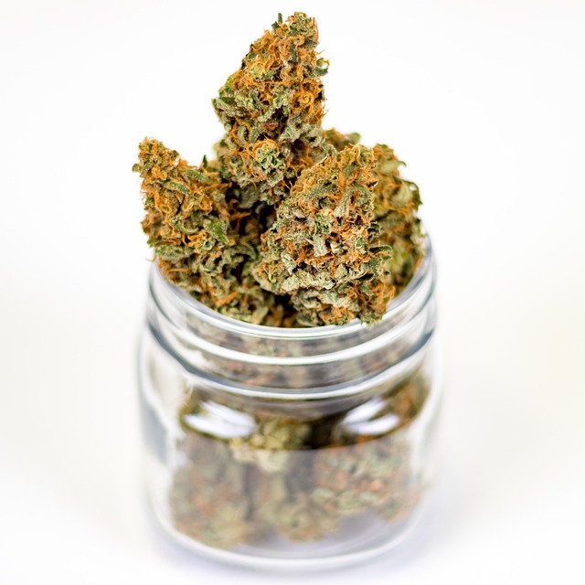 Hemp Flower, Hemp