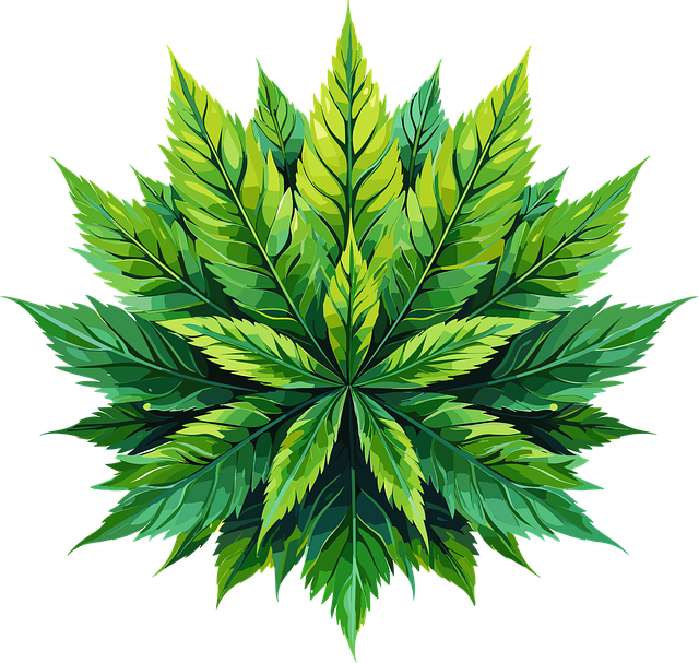 Hemp Flower, Hemp