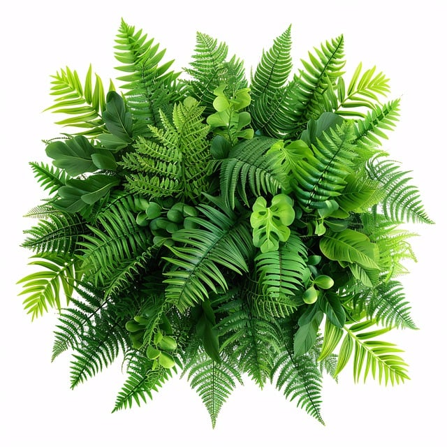 Hemp