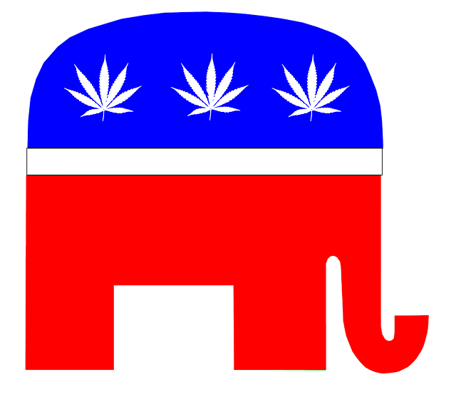 Hemp Flower, Hemp