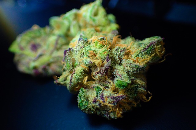 Hemp Flower, Hemp