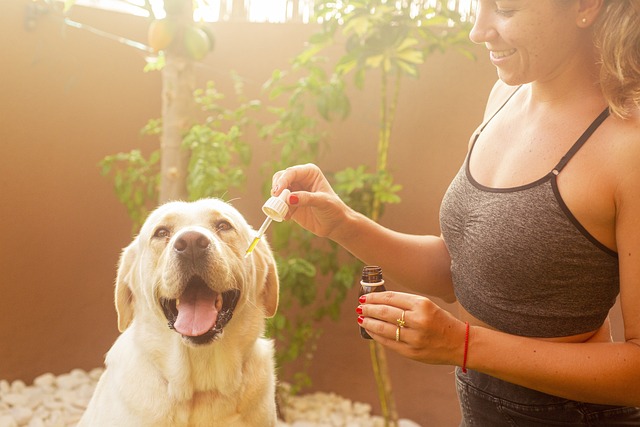 Long-Lasting THC Gummies for Pets: Ensure Peace of Mind, Save Now!