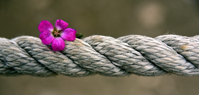 Hemp Flower, Hemp