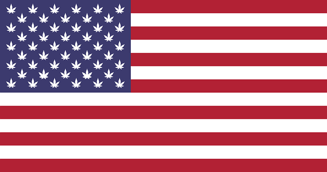 Hemp Flower, Hemp