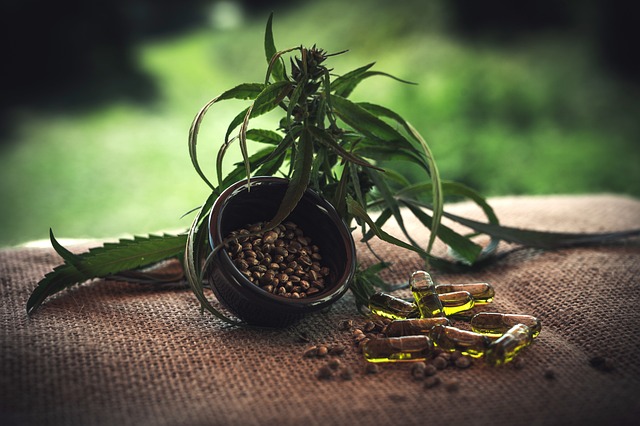 Hemp flower hemp 640x480 45498222.jpeg