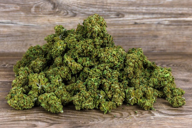 Hemp flower hemp 640x480 46354398.jpeg