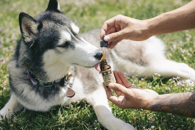 Unwind with Delta 8 Oil Drops: Effective Pre Rolls, Free Shipping!