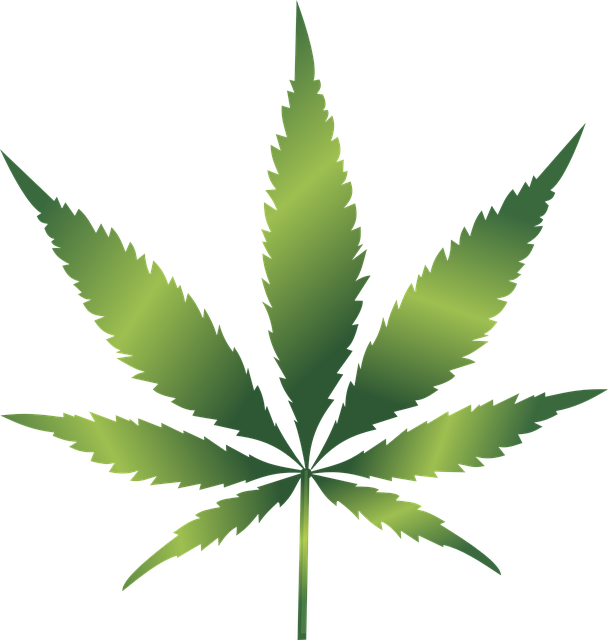 Find Instant Calm: Top-Rated THCA Gummies for Anxiety Relief – Save Today!