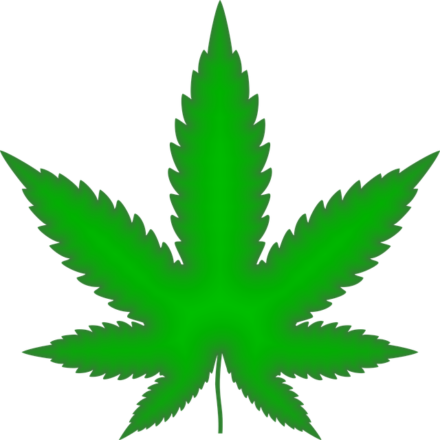 Hemp flower hemp 640x480 49204068.png