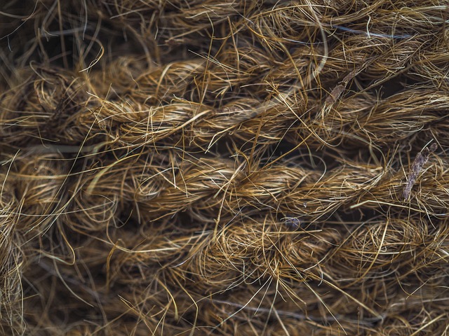 Unlock Savings: Discover Top-Tier THC Hemp Fiber with Rosin