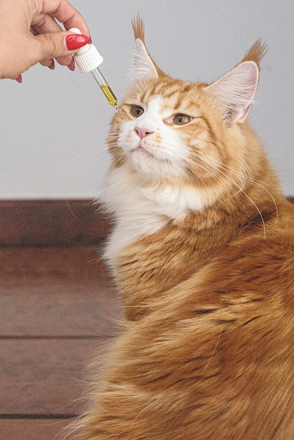 Thca Rosin: Natural Relief for Pets, Save Now with Free Shipping!