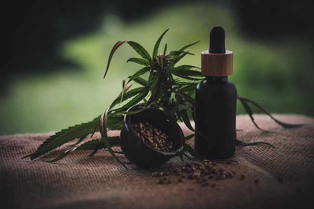 Unlock Relaxation: Save Big on CBD Gummi Bears & Pre Rolls!