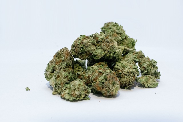 Hemp Flower, Hemp