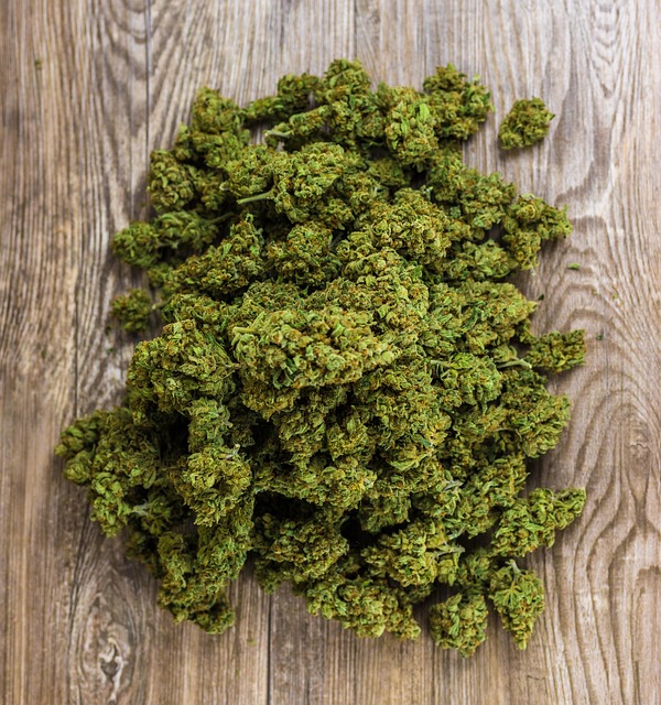 Hemp flower hemp 640x480 57002471.jpeg