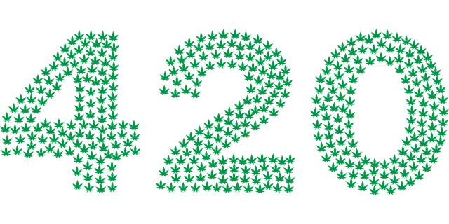 Hemp flower hemp 640x480 57322038.png