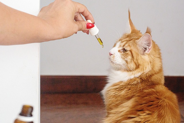 Revolutionize Veterinary Care: Top Faded THCA Pre Rolls for Unmatched Savings