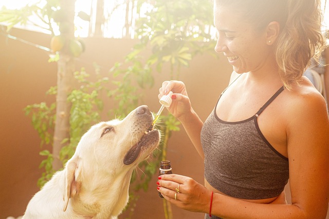 Pass Drug Tests Effortlessly with THCA Gummies – Save Money Today!