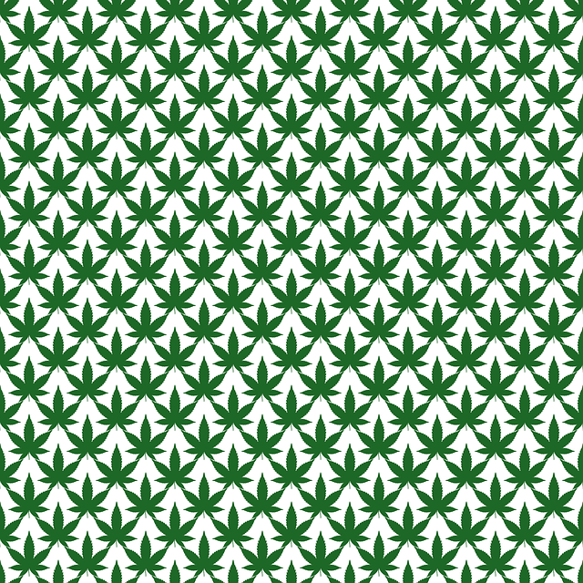 Unlock High Savings, Experience Maximized THC: Decarboxylated Hemp Fiber Gummies
