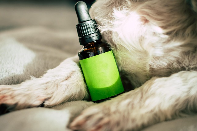 Unlock Ultimate Relaxation: 7000mg THC-A Tincture Drops – Adios Blend, Now with Free Shipping!