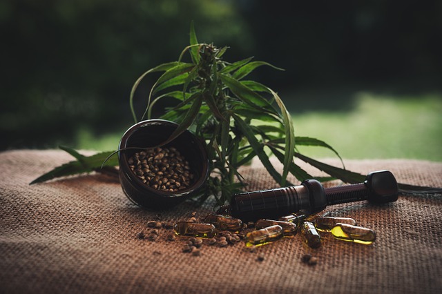 Hemp Flower, Hemp