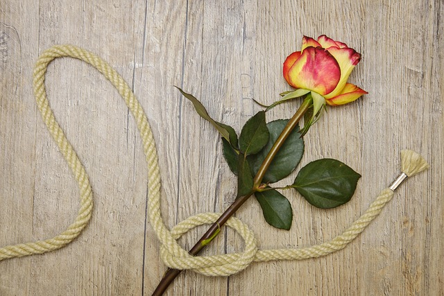 Hemp flower hemp 640x480 95713264.jpeg