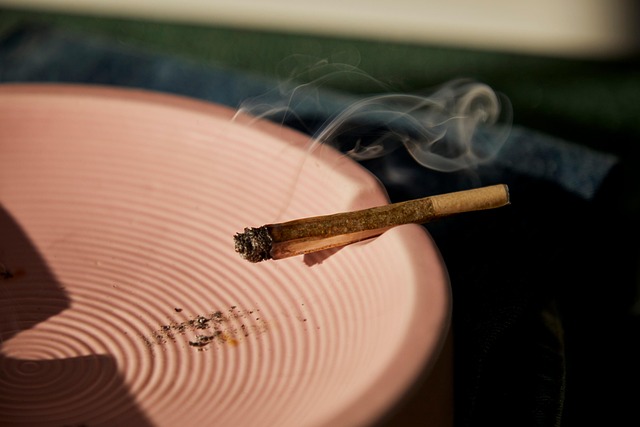 Experience Calm & Relaxation: New THC-Rich Blends – Free Shipping Now!