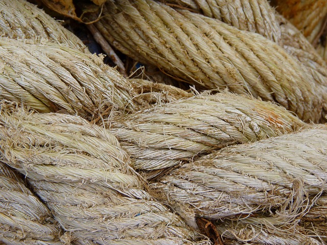 Hemp