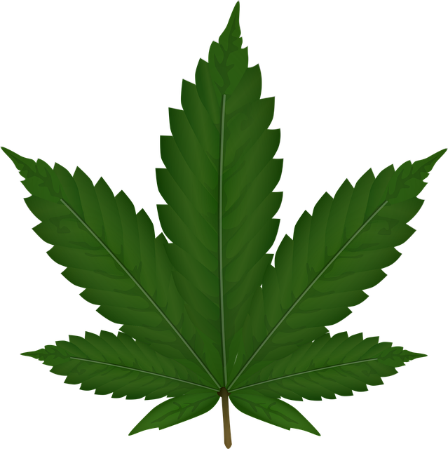 Hemp