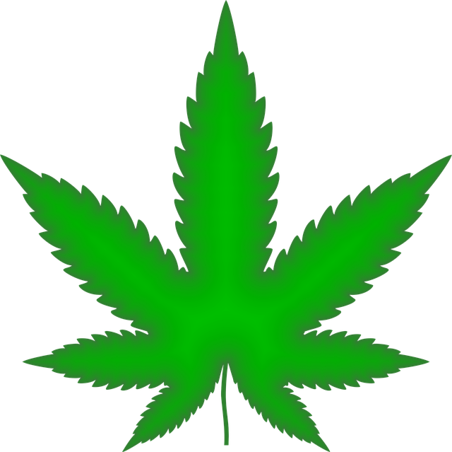 Hemp 640x480 71479323.png
