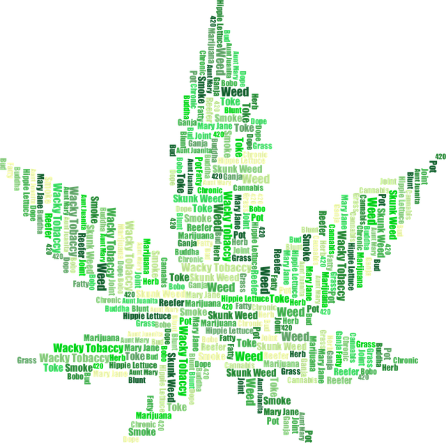 Hemp 640x480 81285104.png