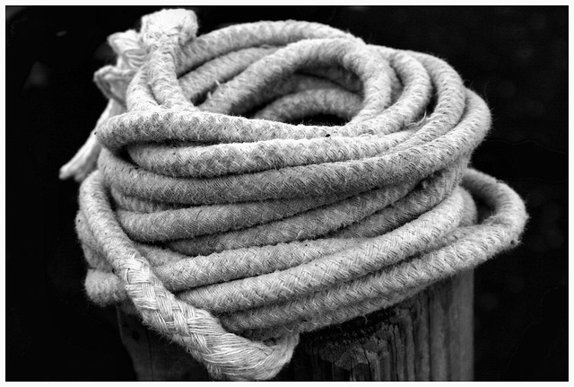 Hemp 640x480 2195410.jpeg