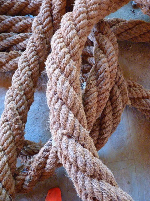 Hemp 640x480 58357566.jpeg