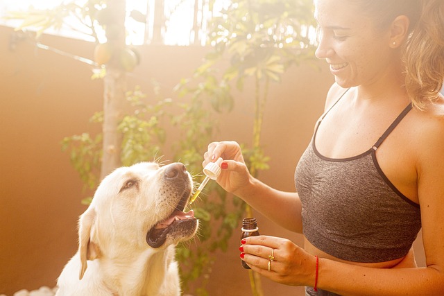 Experience Pure Pleasure: Zero THC CBD Isolate Powder with Rosin – Free Shipping!