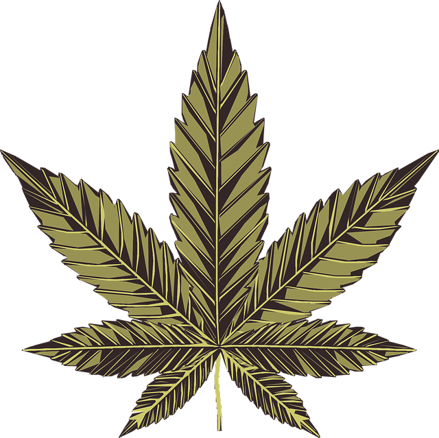 Hemp