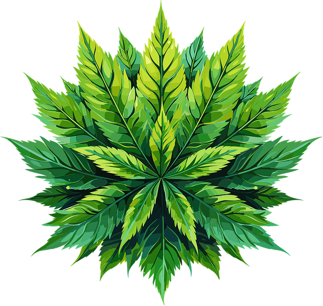 Hemp